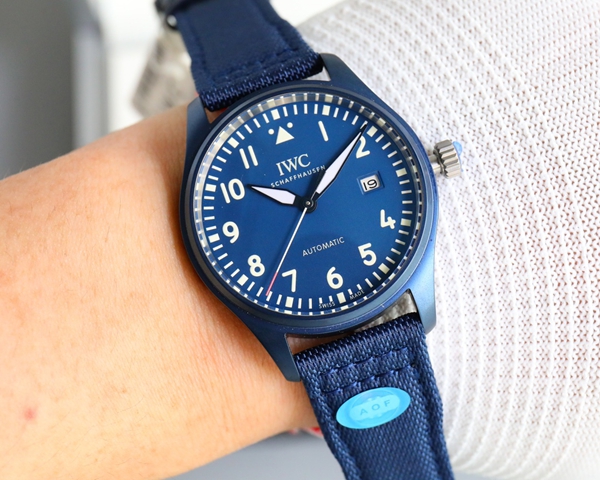 アイ・ダブリュー・シー背面デザイン